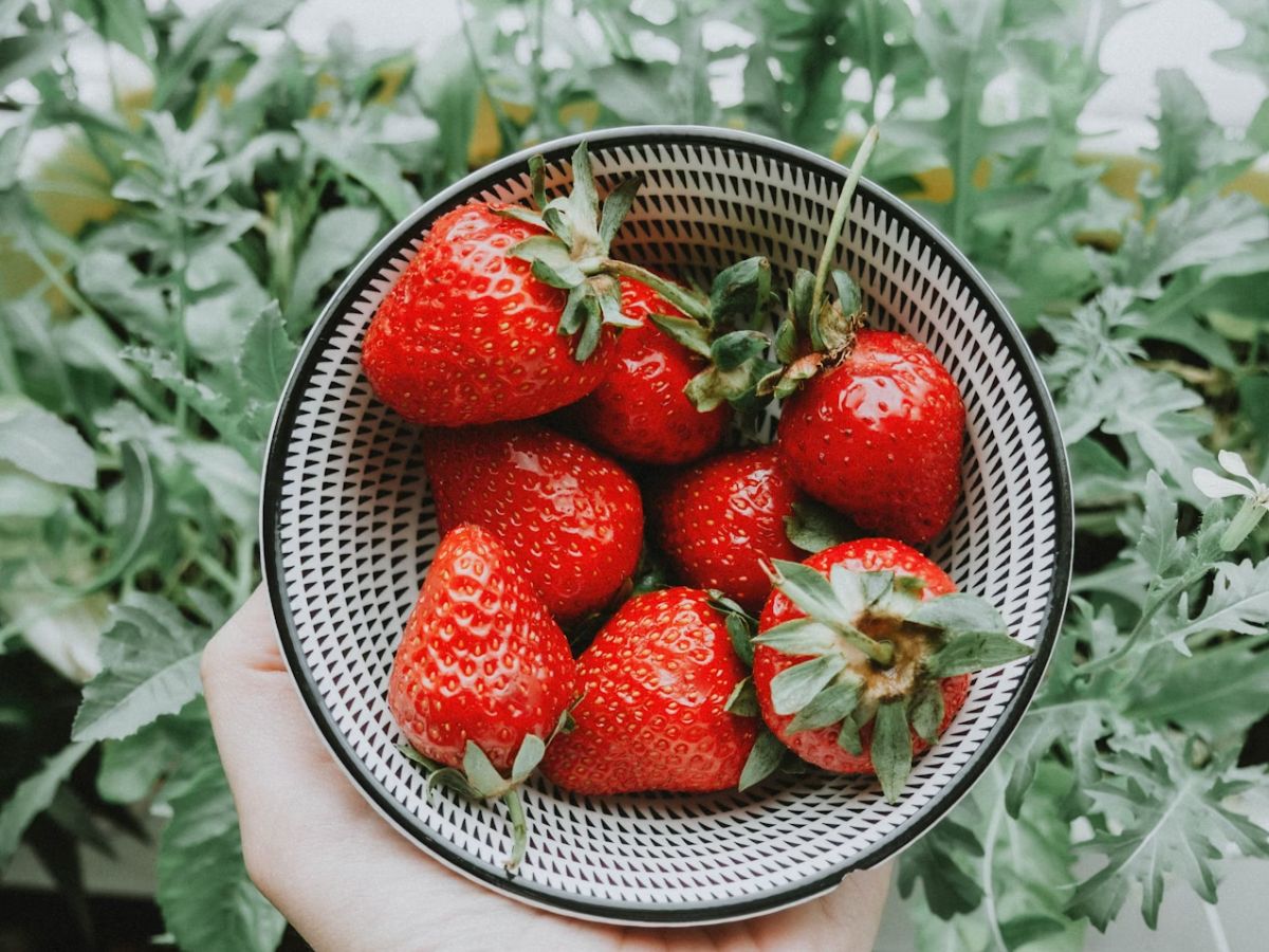 Strawberries Unsplash
