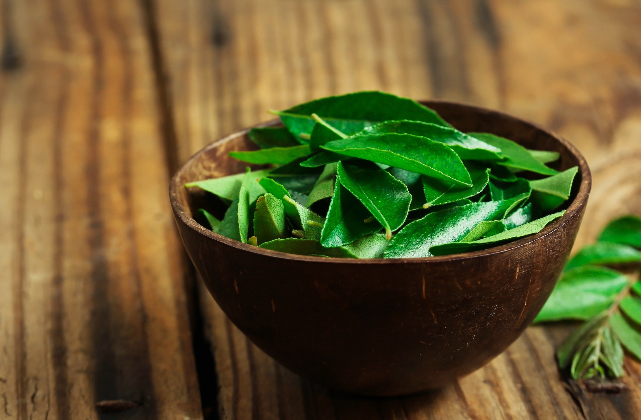 Curry Leaves