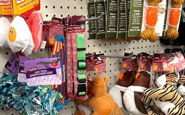 Dollar Store Pet Toys