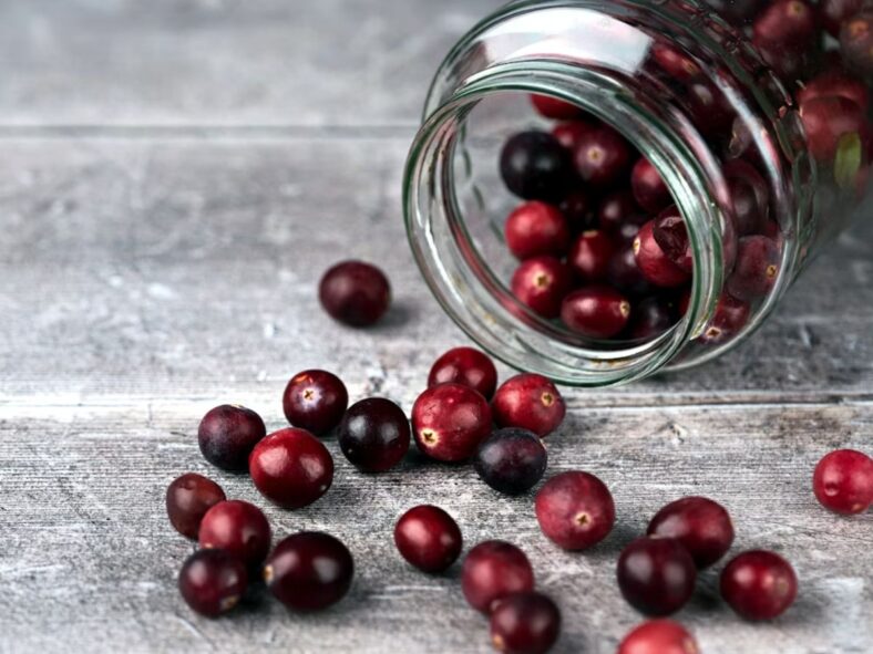 Cranberries Unsplash